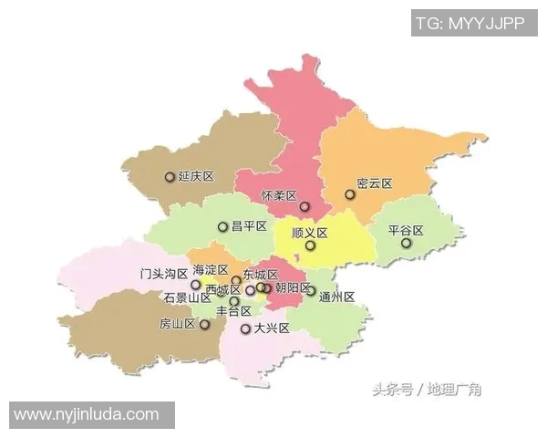 北京排球队实力变革引发热议新阵容能否重塑辉煌