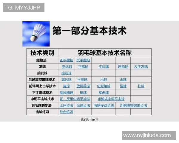南京羽毛球队引领最新羽毛球战术十大技巧解析与应用分享 南京羽毛球队引领最新羽毛球战术十大技巧解析与应用分享